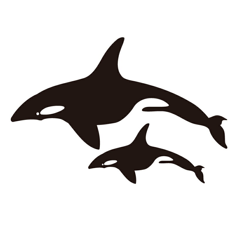 �������륹�ƥå��� ����� ��ws-189�� ��A4�� ��1��� ������̵���� �ڥͥ��ݥ���