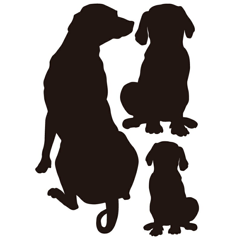 �������륹�ƥå��� ��002 ��ws-192�� ��A3�� ��1��� ������̵����