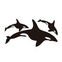 ウォールステッカー シャチ 【ws-198】 【450mm×850mm】 【1枚】 【送料無料】