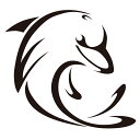 ウォールステッカー ドルフィン 【ws-222】 【450mm×450mm】 【1枚】 【送料無料】