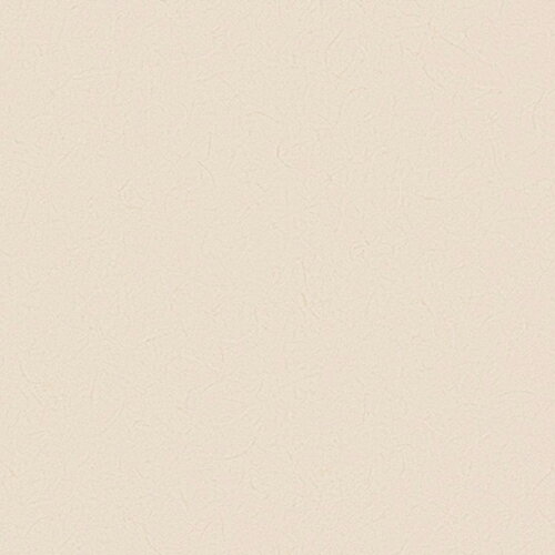 東リ/生のりつき壁紙・クロス WVC862【10M巻】【送料込み価格】