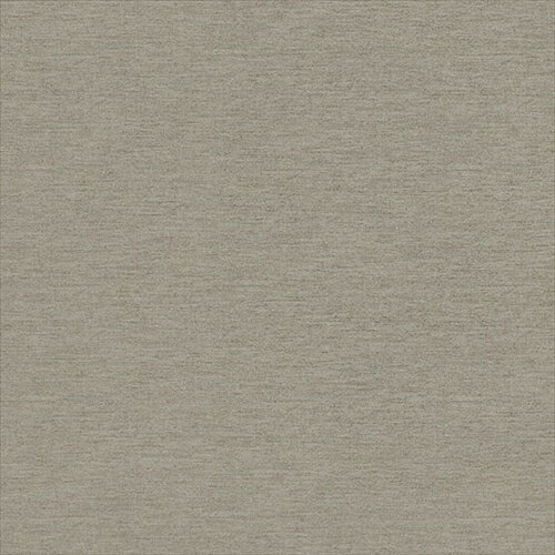 東リ/生のりつき壁紙・クロス WVP4459【10M巻】【送料込み価格】