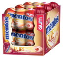 [RDY] [送料無料] Mentos ピュアフレッシュガム、シナモン、キシリトール入りシュガーフリー、50個入り（6個入り） [楽天海外通販] | Mentos Pure Fresh Gum, Cinnamon, Sugar Free with Xylitol, 50 Pieces (Pack of 6)