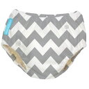 [送料無料] エクストラオーディナリー スイム オムツ グレーシェブロン X-Large [楽天海外通販] | Extraordinary Swim Diaper Grey Chevron X-Large