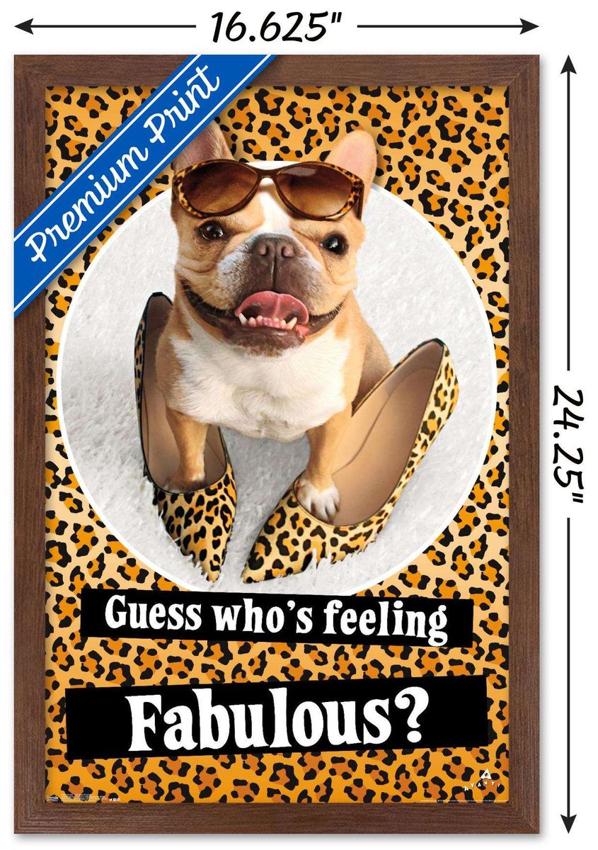 としての 送料無料 Avanti Fabulous Frenchie Wall Poster 14 725 X 22 375 Framed Walmart 店 Avanti Fabulous Frenchie Wall Poster 14 725 X 22 375 フレーム付き 海外通販 などお Www Teledakar Net