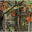 [̵] ϥƥ󥰥ӥХåʥץ 54̾ʬ [ŷ] | Hunting Camo Beverage Napkins for 54 Guests