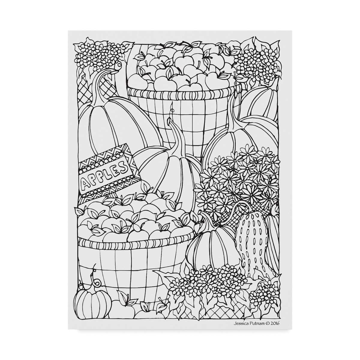 RDY 送料無料 Trademark Fine Art 秋のひょうたんと花3 キャンバスアート by Jessica Putnam 楽天海外通販 Trademark Fine Art 039 Autumn Gourds and Flowers 3 039 Canvas Art by Jessica Putnam