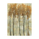 [送料無料] Trademark Fine Art Standing Tall in Autumn I キャンバスアート by Tim OToole [楽天海外通販] | Trademark Fine Art 'Standing Tall in Autumn I' Canvas Art by Tim OToole