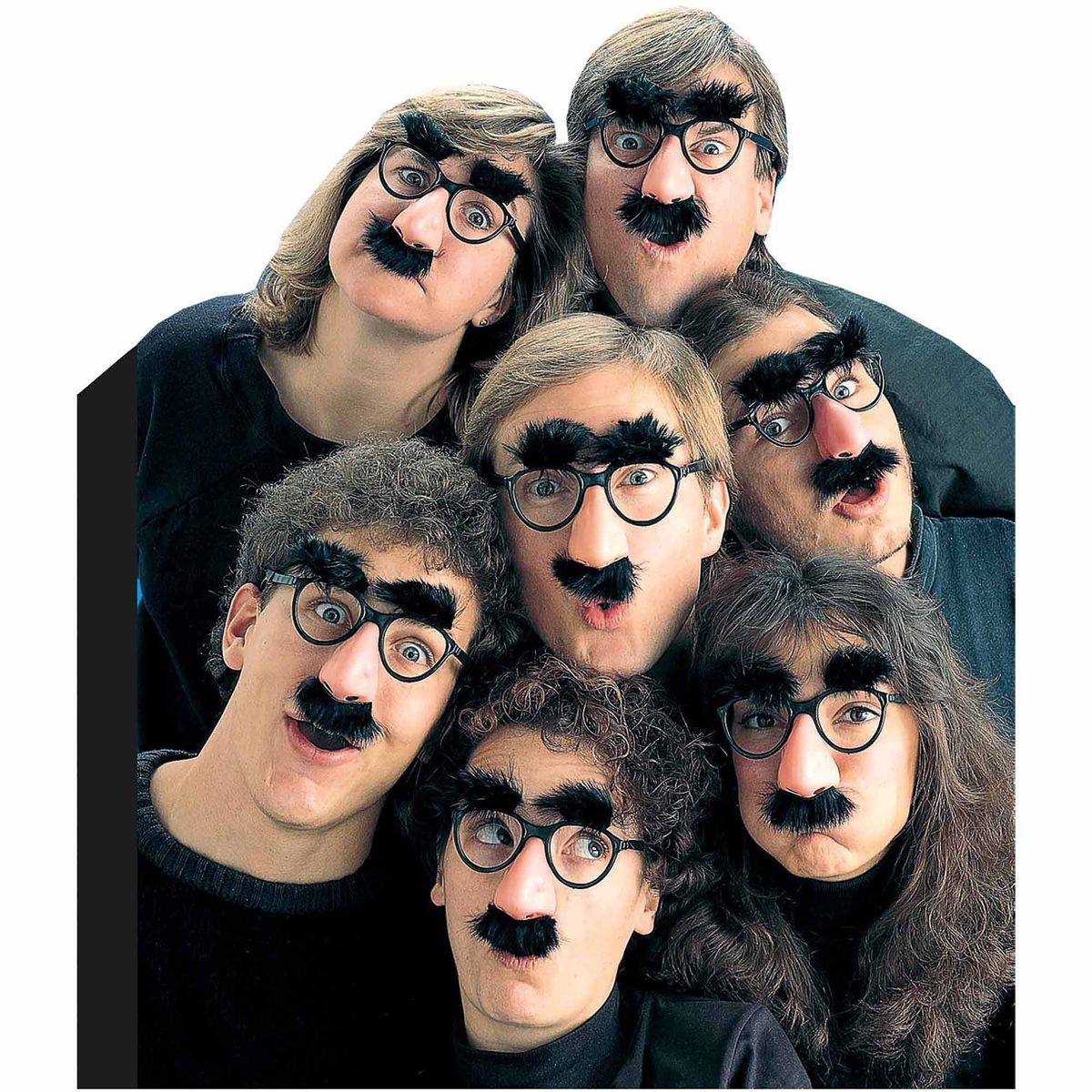 [RDY] [送料無料] ヒブロウ変装 大人用ハロウィンアクセサリー [楽天海外通販] | Hibrow Disguise Adult Halloween Accessory