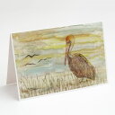 [RDY] [送料無料] Caroline's Treasures Brown Pelican Yellow Sky Greeting Cards with Envelopes, 5