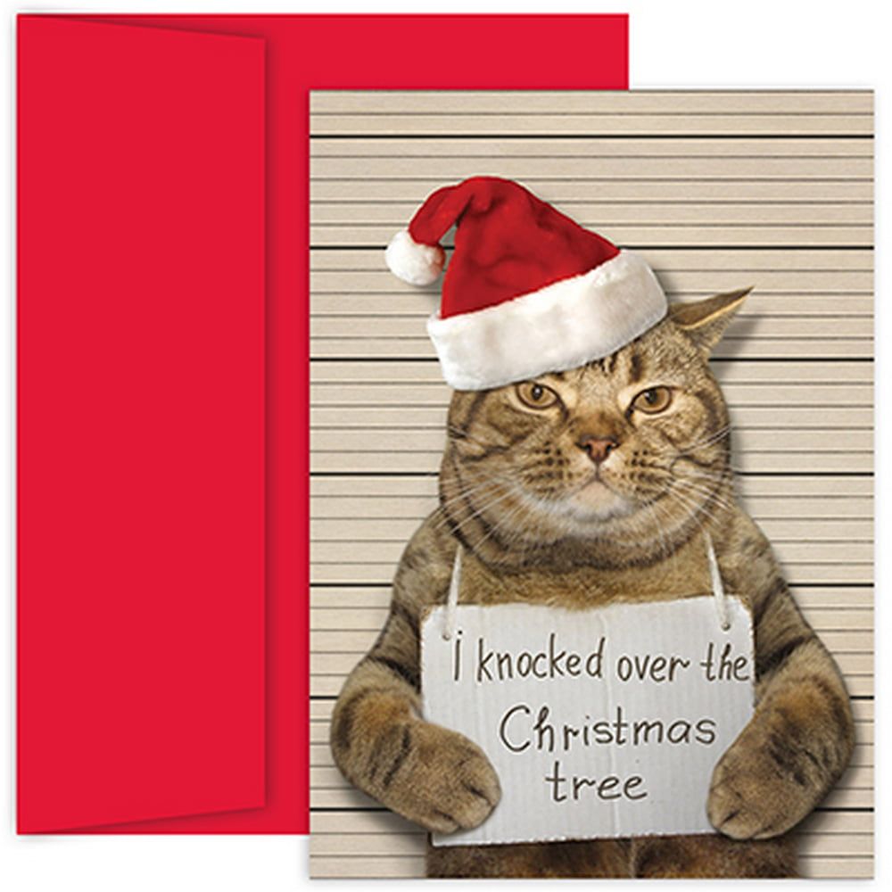 [RDY] [送料無料] JAMペーパー クリスマスカードセット Bad Cat 18枚入り [楽天海外通販] | JAM Paper Christmas Card Sets, Bad Cat, 18/Pack