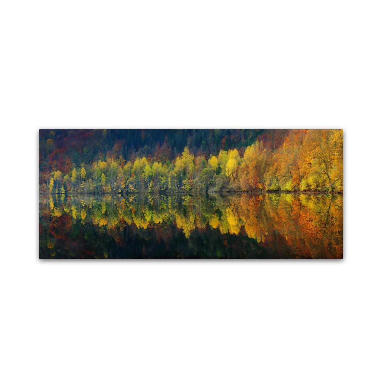 RDY 送料無料 Trademark Fine Art 秋の静寂」 キャンバスアート by バーガー ヨッヘン 楽天海外通販 Trademark Fine Art 039 Autumnal Silence 039 Canvas Art by Burger Jochen