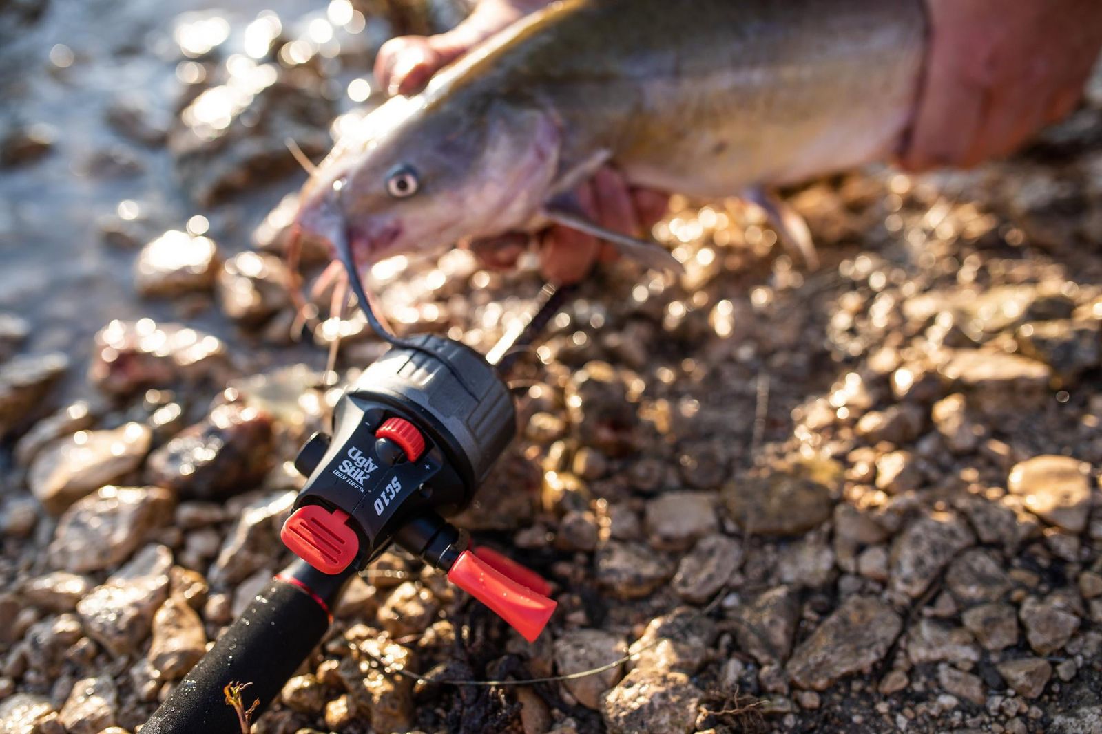 送料無料 Ugly Stik アグリー タフ スピンキャスト スピンキャスト リール サイズ20 楽天海外通販 Ugly Stik Ugly Tuff Spincast Spincast Reel, Size 20