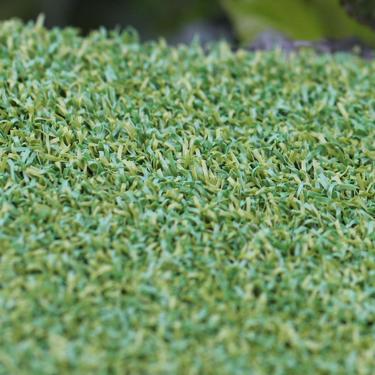   AllGreen パシフィック 2 x 4 フィート プロフェッショナル ポータブル ゴルフ パッティング グリーン 屋内/屋外トレーニング マット  | AllGreen Pacific 2 x 4 ft Professio