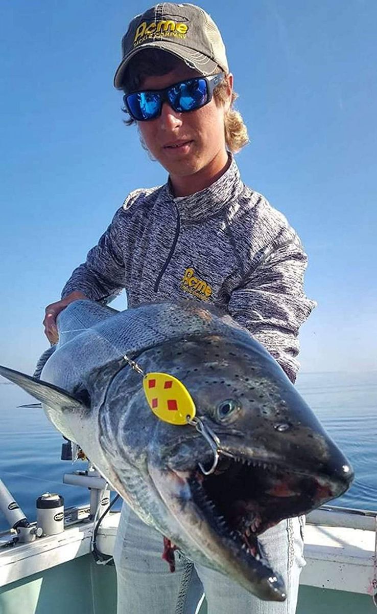 [RDY] [送料無料] ACME C140/NFS リトルクレオ・スプーン 1 5/8インチ 1/4オンス ニッケル＆蛍光色 [楽天海外通販] | Acme C140/NFS Little Cleo Spoon 1 5/8