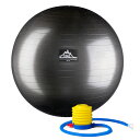 RDY 送料無料 Black Mountain Products プロ仕様スタビリティボール 55cm ブラック 楽天海外通販 Black Mountain Products Professional Grade Stability Ball 55cm Black