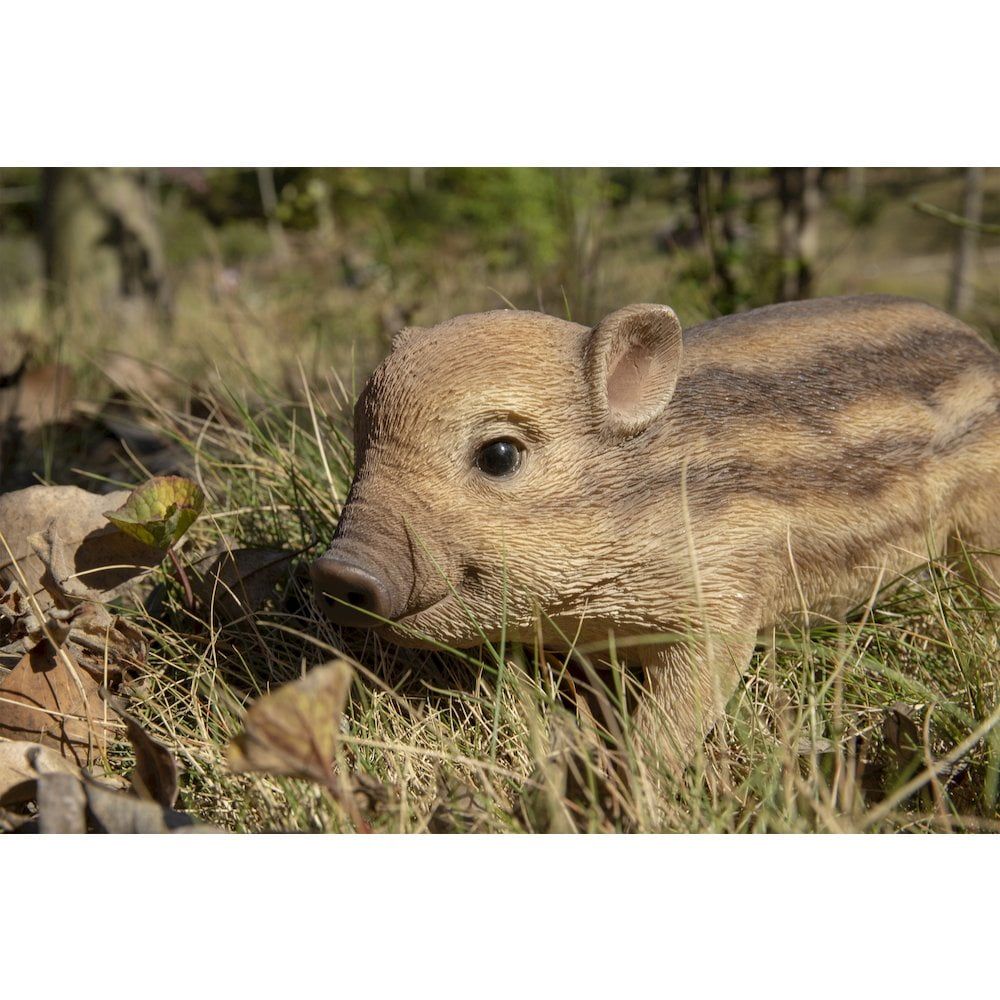 [RDY] [送料無料] <ハイライン ギフトイノシシの赤ちゃんスタンディング [楽天海外通販] | Hi-Line Gift Ltd. Wild Baby Boar Standing