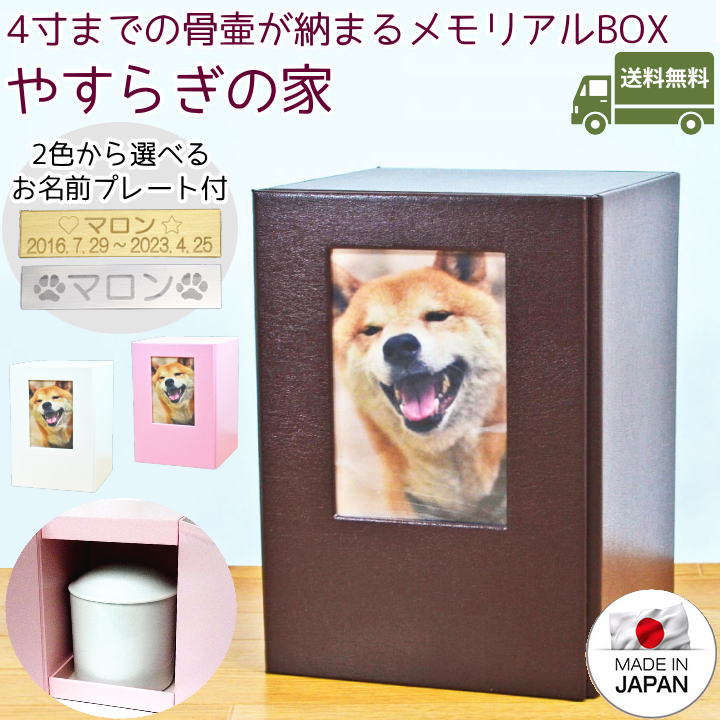 ڥåȹۥСޤ䤹餮β4ޤ˾Τͤء֥ꥢץ졼ȡץץ쥼ȹۥСΤڥåʩڥåʩŹۼǼڥåʩŤ