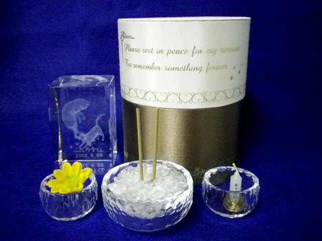 ������1�ġ��ڥåȰ��ץ��ꥹ������ס��ͤ��ڥ졼����Ħ�������ۥڥåȰ��ס��ڥå�ʩ�����������