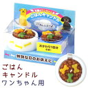 ペット ろうそく わんちゃん専用 本物そっくり ごはんキャンドル カメヤマ ペット ロウソク お供え ペット仏壇 かわいい お悔み