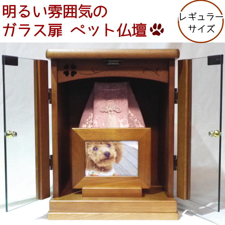 ڥåʩŹۼǼ饹ʩť쥮顼12ʩŤ襤ڥåʩťڥåʩŤͤտ͵󥤥ƥꥢ뤤ʷϵ