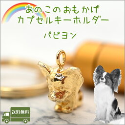 遺骨カプセルキーホルダーパピヨンペット仏具 名入れ 刻印 カプセルメモリアルグッズ 遺骨キーホルダーペットロス日本製【ネコポス便（ポスト投函）対応商品】