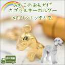 遺骨カプセルキーホルダーベドリントンテリアペット仏具 名入れ 刻印 カプセルメモリアルグッズ 遺骨キーホルダーペットロス ベドリントン・テリア日本製【ネコポス便（ポスト投函）対応商品】