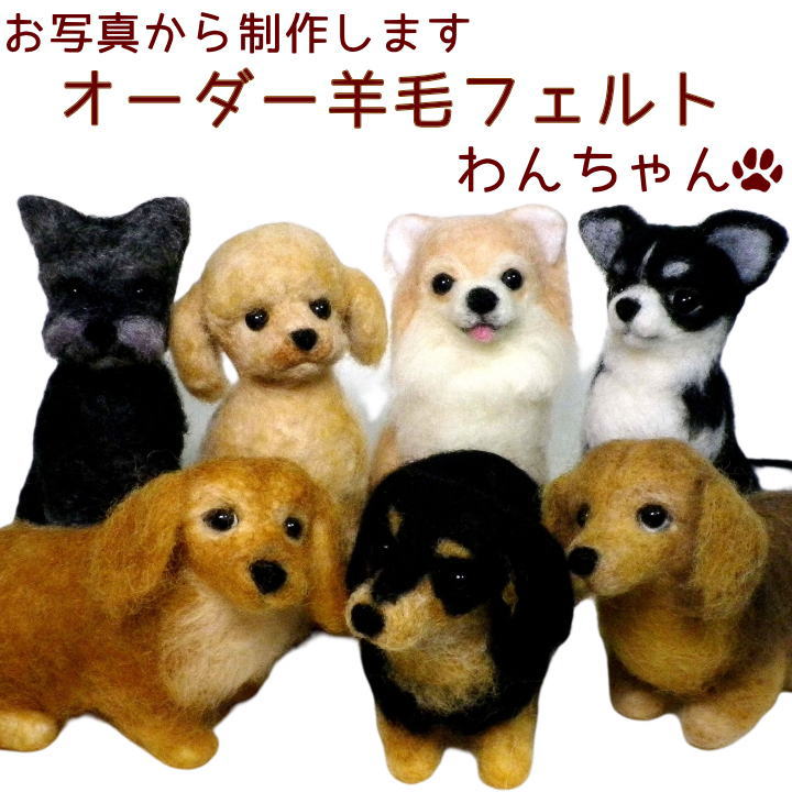 ڥåʩ񥪡ӥեȤ󤪼̿襤
