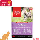 オリジン キトゥン(子猫用) 5.4kg【正規品】 (選べるプレゼント付)