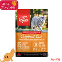 オリジン オリジナル・キャット (カナダ産) 5.4kg 【正規品】(選べるプレゼント付)