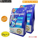 (5月連休明け入荷予定) ソリッドゴールド フィット アズア フィドル (成猫 肥満猫用）2kg×2【正規品】(選べるプレゼント付)