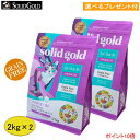 ソリッドゴールド インドアキャット 2kg×2【正規品】(選べるプレゼント付)