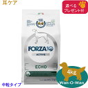 フォルツァ10 (FORZA10) エコーアクティブ (耳ケア) 4kg (中粒) 「正規品」(選べるプレゼント付)