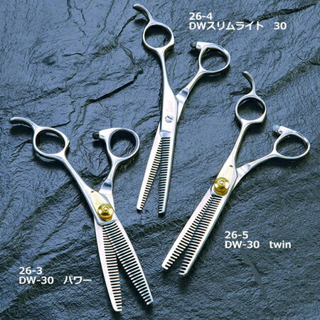 DW-30 twin(˥󥰥)