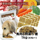 犬用厳選!トッピング材料や手作りごはんに 包丁いらず簡単レンチンOK ろくよん馬肉 6:5種の野菜4黄金比率 250g~5kg 国産 無添加 毎日続けられる価格 健康寿命をのばす命と向き合い19年間ワンバナ アレルギーのわんちゃんにパピーからシニアまで人間用の食材のみ使用