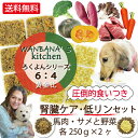 あす楽 犬 手作り ごはん 国産 無添加 腎臓ケア 低リン 馬肉・サメ 各250g 2種セット 犬の好みを知ろう 体質改善 低脂肪 腎臓サポート 涙やけ シニア...