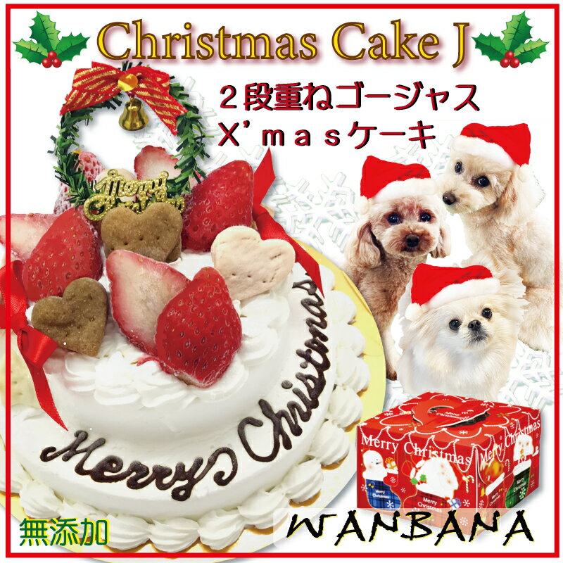 犬用 クリスマス ケーキ ゴージャス 2段ケーキ 無添加 馬肉とお野菜生地 冷凍 アレルギー体質の愛犬も 豪華 食べっぷり最高 人気 ギフト 贈り物 プレゼント パーティー オフ会 お節料理同梱可能