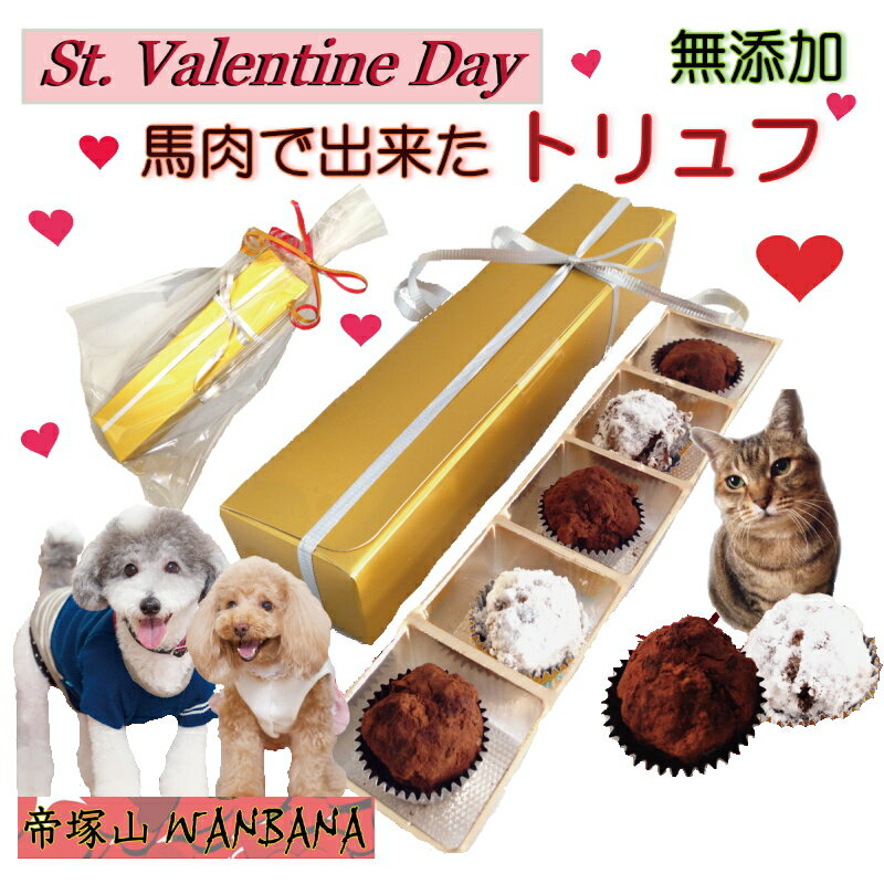 犬用 バレンタイン チョコレート 馬肉トリュフ5個入り ゴールドBOX入り 無添加 ギフト人気 おやつ プレゼント お手軽な贈り物 帝塚山WANBANAワンバナ 製造 愛犬用の 義理チョコ わんちゃん用 ラッピング無料 6600円以上送料無料のサムネイル