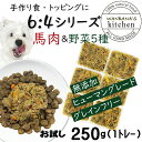 犬用厳選 手作りごはんやトッピング材料に 包丁いらず簡単レンチンOKろくよん馬肉6：5種の野菜4黄金比率250g 42g 6個 国産 無添加 毎日続けられる価格健康寿命をのばす命と向き合い19年間ワン…