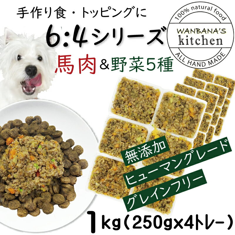 犬用厳選！トッピング材料や手作りごはんに 包丁いらず簡単レンチンOKろくよん馬肉6：5種の野菜4黄金比率1kg(42g×24個)国産 無添加 毎日続けられる価格　健康寿命をのばす命と向き合い19年間ワンバナ アレルギーのわんちゃんにパピーからシニアまで人間用の食材のみ使用