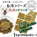 犬用厳選 トッピング材料や手作りごはんに 包丁いらず簡単レンチンOKろくよん馬肉6：5種の野菜4黄金比率1kg 42g 24個 国産 無添加 毎日続けられる価格 健康寿命をのばす命と向き合い19年間ワン…