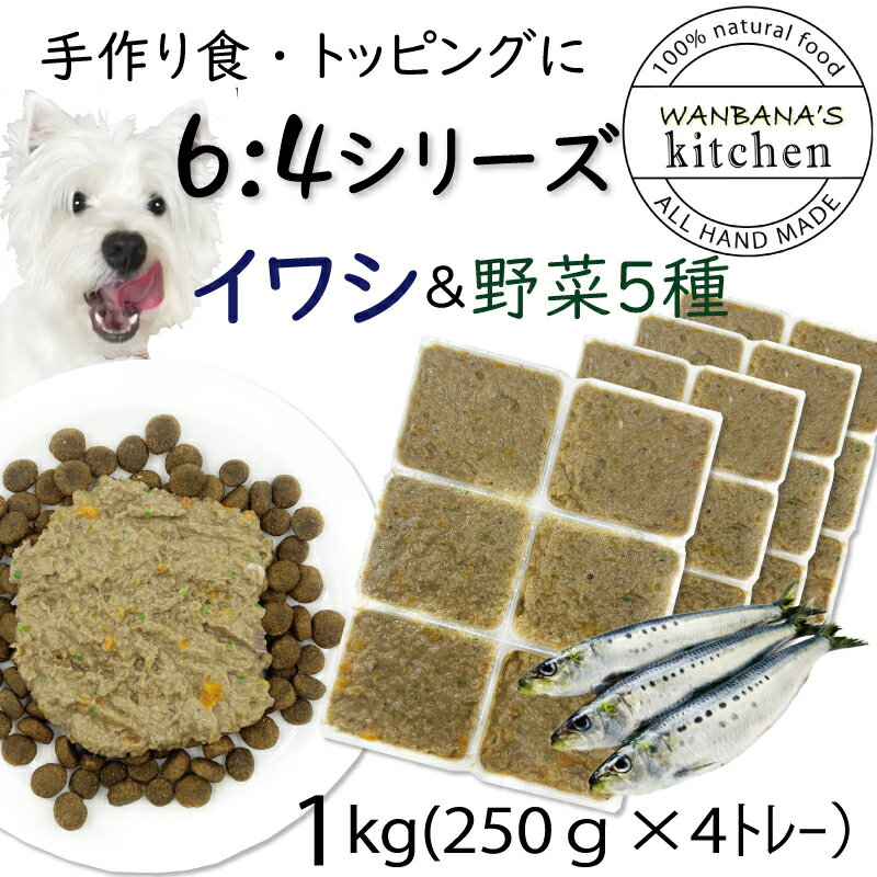 犬用厳選!トッピングや手作りごはんに 包丁いらず簡単レンチンOK ろくよんいわし6：5種の野菜4黄金比率1kg(42g×24個)国産 無添加 毎日続けられる価格 健康寿命をのばす命と向き合い19年間ワンバナ アレルギーのわんちゃんにパピーからシニアまで人間用の食材のみ使用