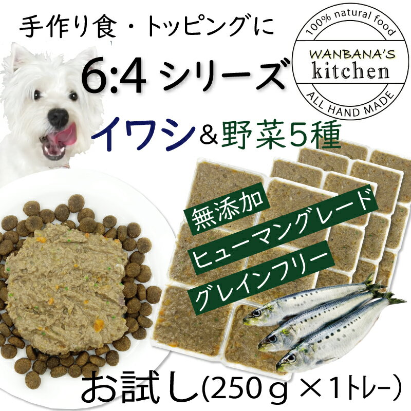 犬用厳選 トッピング材料や手作りごはんに包丁いらず簡単レンチンOKろくよんいわし6：5種の野菜4黄金比率250g 42g 6個 国産 無添加 毎日続けられる価格 健康寿命をのばす命と向き合い19年間ワ…