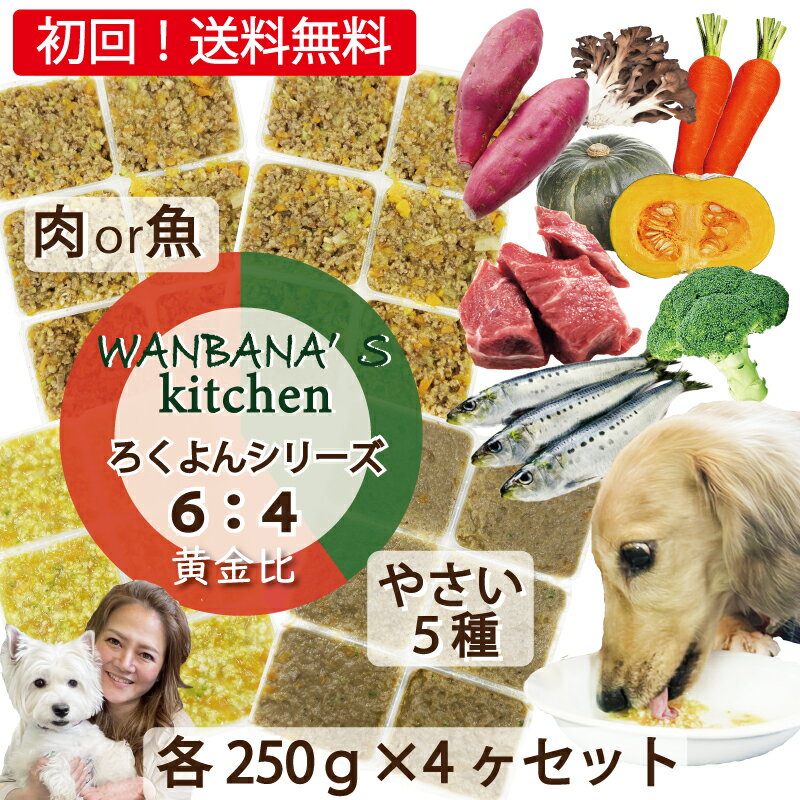 あす楽 犬 手作り ごはん 国産 無添