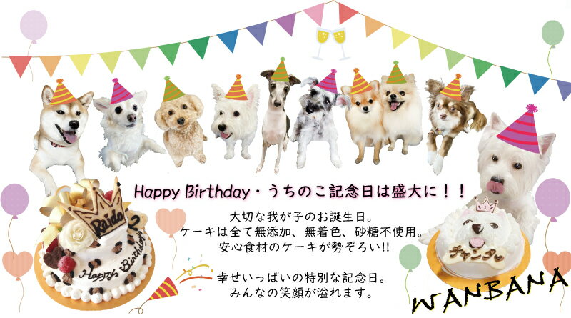 ナンバーキャンドル お誕生日ケーキと一緒に合わせて数字ロウソクでお祝いを・・・・帝塚山WANBANA ワンバナ 6600円以上送料無料 2