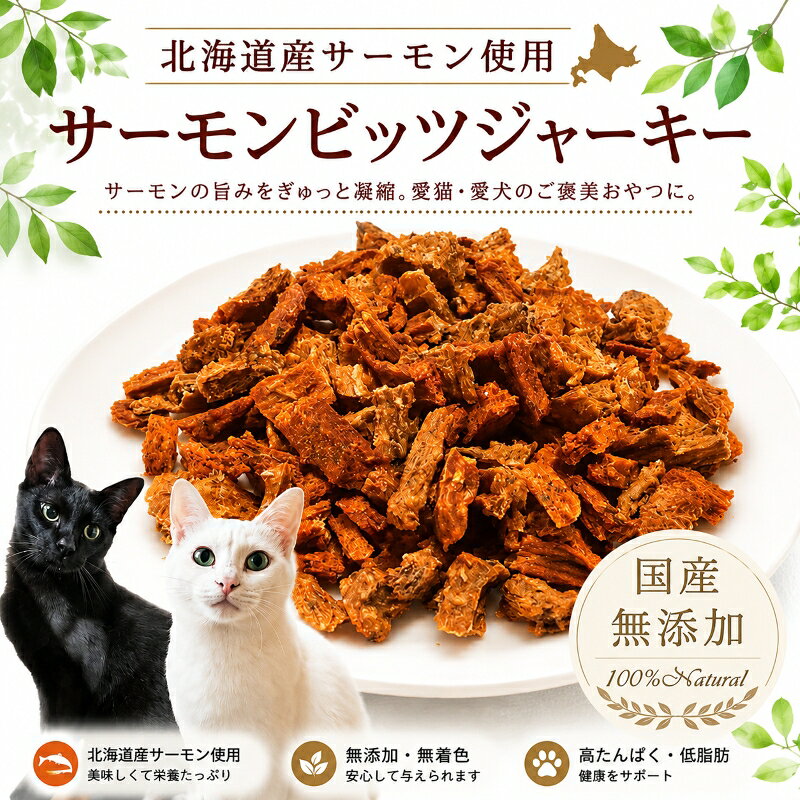 猫用おやつ 大地の力 サーモンまるごとビッツジャーキー40g 無添加 サーモン 鮭 DHA 低カロリー 高タンパク 一口サイズ ご褒美 トレーニング パピー シニア ネコポス WANBANA