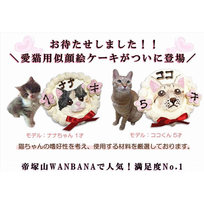 猫用 似顔絵ケーキ を立体に！ 1頭描き 大山鶏ササミ・鰹節と寒天 生地 4号 誕生日に無添加で安心人気 バースデー 名前入れ おやつ お祝い ねこ ケーキ オリジナル 記念 口コミ セット かわいい ネコ えさ ごはん キャット フード 帝塚山WANBANA 3