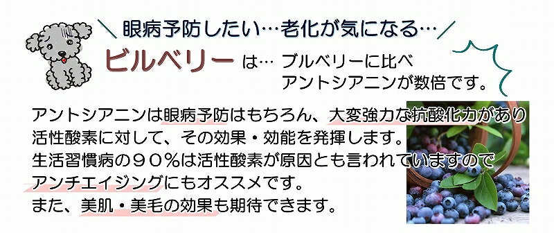 犬のドッグフード トッピング 手作りごはん ビルベリーと馬肉のスープジュレ 1袋10キューブ入り 健康応援手作りスープ 水分補給 食欲増進 低カロリー 低アレルギー シニア 老犬 目の健康 抗酸化作用 アンチエイジング 6000円以上 犬のドッグフード トッピング 手作りごはん ビルベリーと馬肉のスープジュレ 1袋10キューブ入り 健康応援手作りスープ 水分補給 食欲増進 低カロリー 低アレルギー シニア 老犬 目の健康 抗酸化作用 アンチエイジング 6000円以上