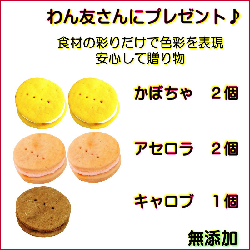 我が家のプリンセスにスポットライト!姫に愛を伝えたい 犬用ホワイトデーマカロン5個入 国産無添加 パテシエ 手作り食材で彩り豊か SNS 映えねらう わんちゃん大興奮 高級おやつをプレゼント ギフト お返しに お花見 お出かけにも パピーからシニアまでワンバナ