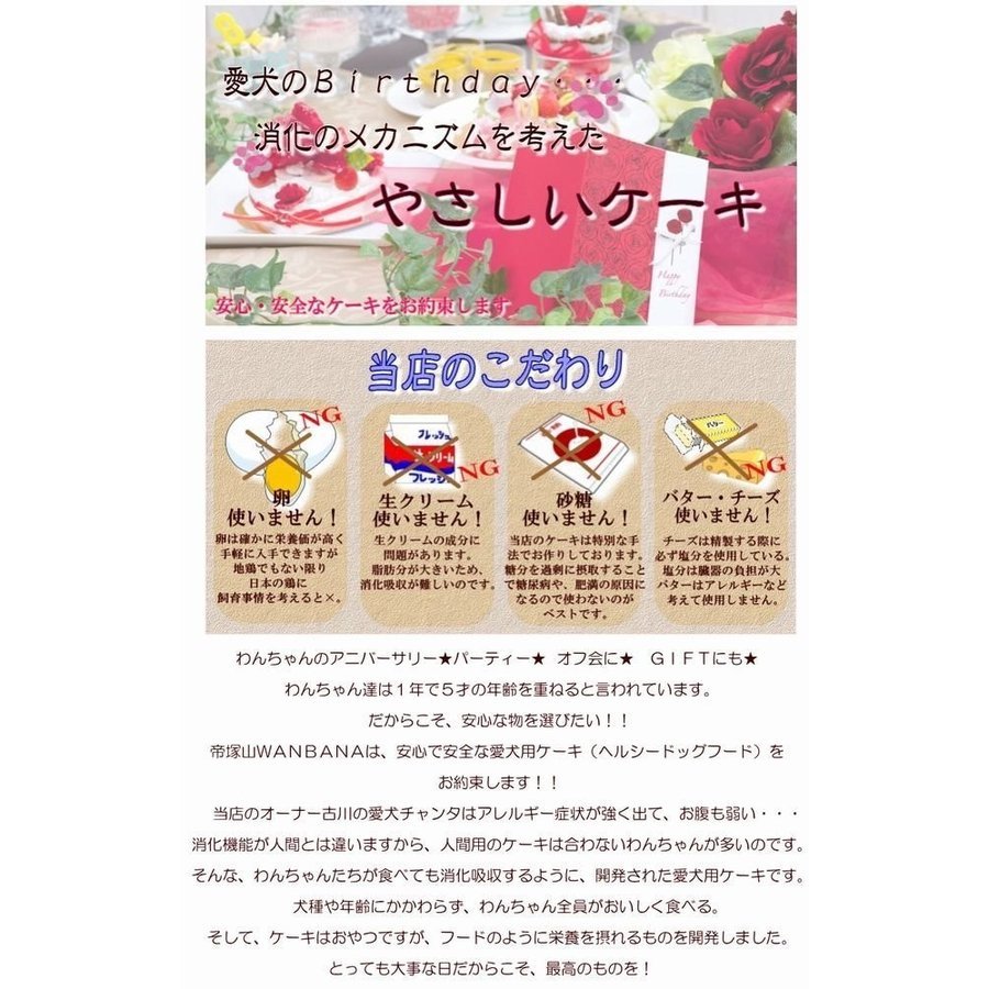 犬用の ケーキ レオパード 4号 サイズ 馬肉とお野菜生地 お誕生日 バースデー 無添加で安心人気 名前入れ可 おやつ お祝い ギフト 贈り物 ペット ドッグ わんこ 記念 口コミ かわいい 帝塚山ワンバナ 6600円以上送料無料 3